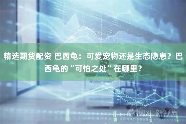 精选期货配资 巴西龟：可爱宠物还是生态隐患？巴西龟的“可怕之处”在哪里？