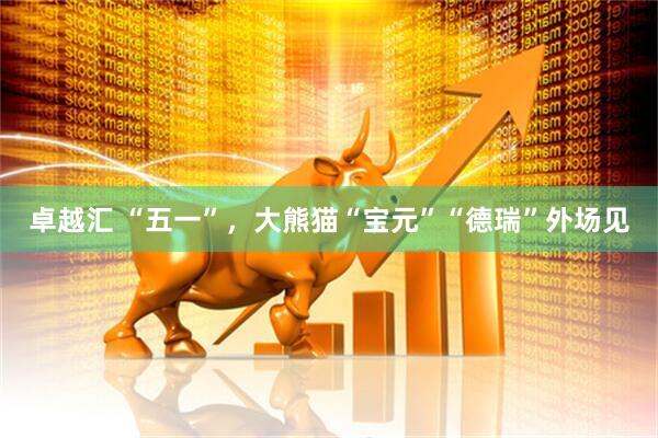 卓越汇 “五一”，大熊猫“宝元”“德瑞”外场见
